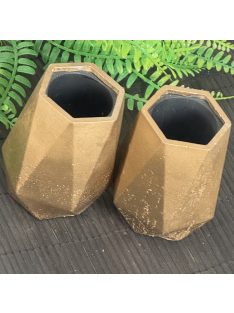 Matt arany tároló - 2db poligon, fekete belsővel