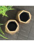 Matt arany tároló - 2db poligon, fekete belsővel