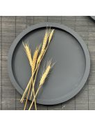 Közepes méretű kör tálca - matt fekete