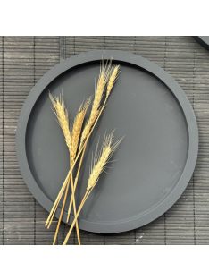Közepes méretű kör tálca - matt fekete