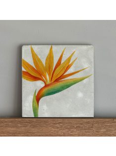 Papagályvirág - felakasztható betonkép