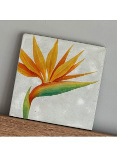 Papagályvirág - felakasztható betonkép